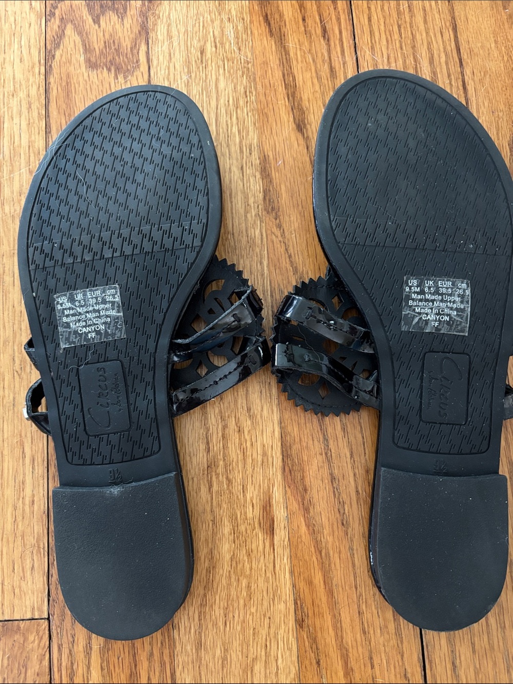 Circus NY by Sam Edelman Canyon Flat Medallion Sandals - Picture 3 of 9